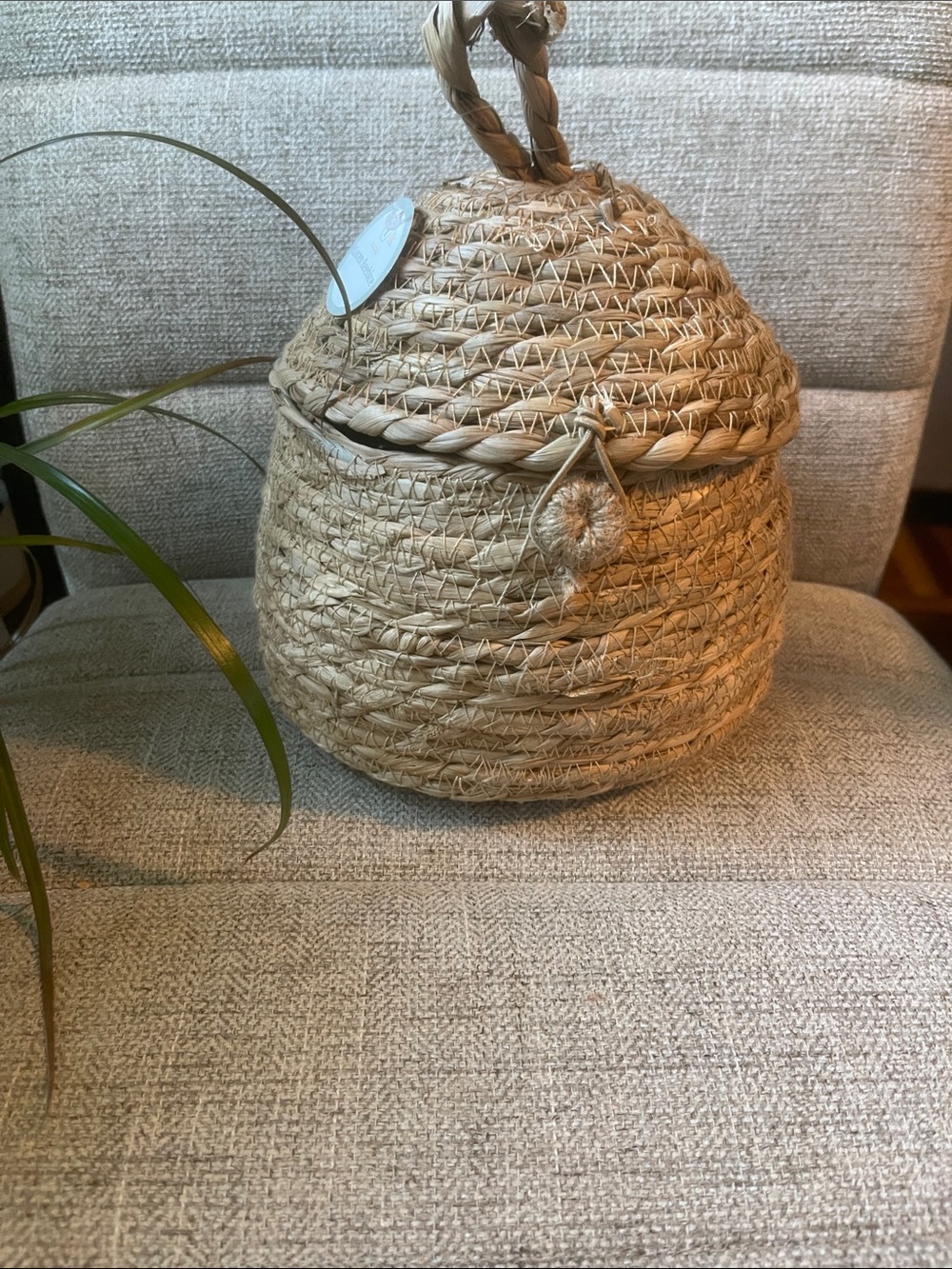 Target Natural Seagrass Woven Basket with Lid